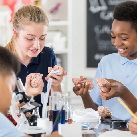 two students working with chemistry set together