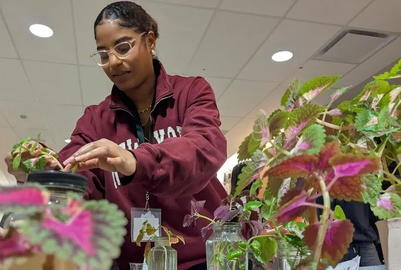 Student potting plant